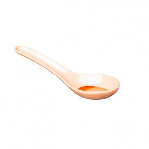Rainbow Melamine Spoon
